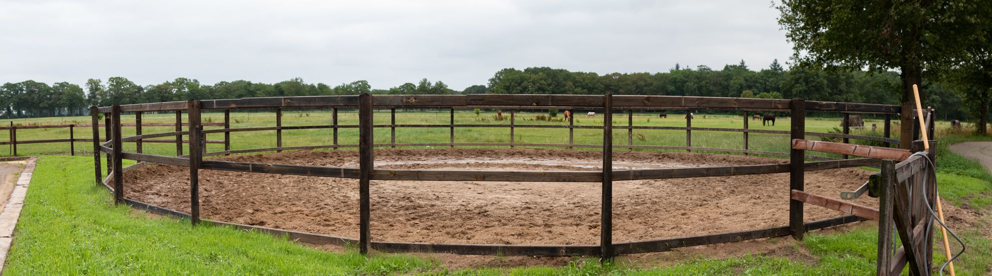 Longeercirkel Stal de Borgelink