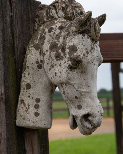 Paardenhoofd ingang Stal de Borgelink